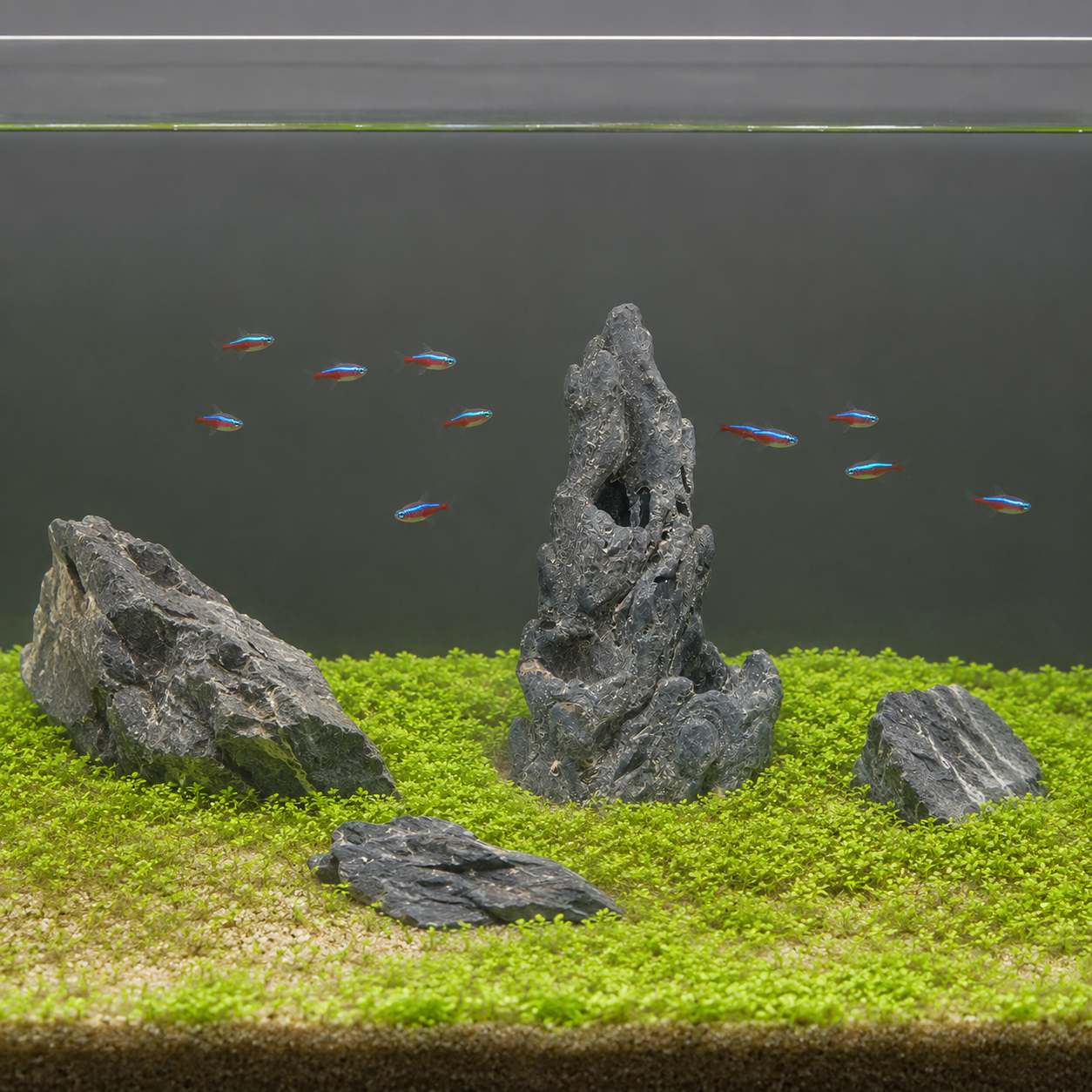 The Basalt Bluff