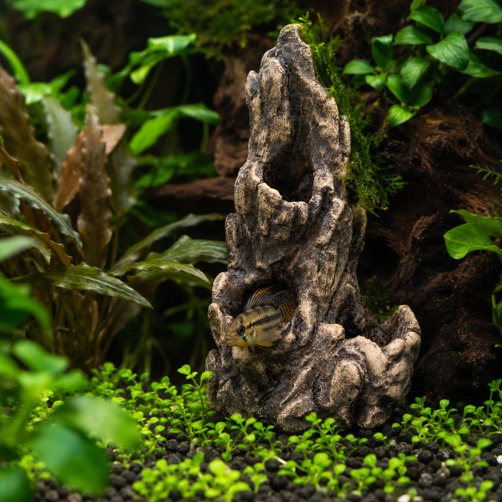 The Basalt Bluff